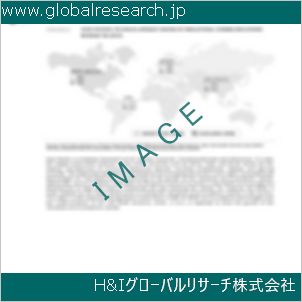 グローバルリサーチ調査資料のイメージ
